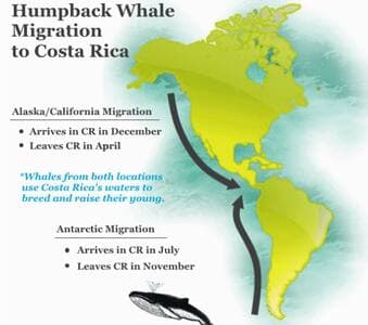 Whales love this location!