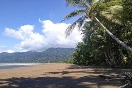 Playa Hermosa is only 2km away from our boutique hotel.