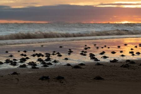 Tortuga Beach is only minutes away!