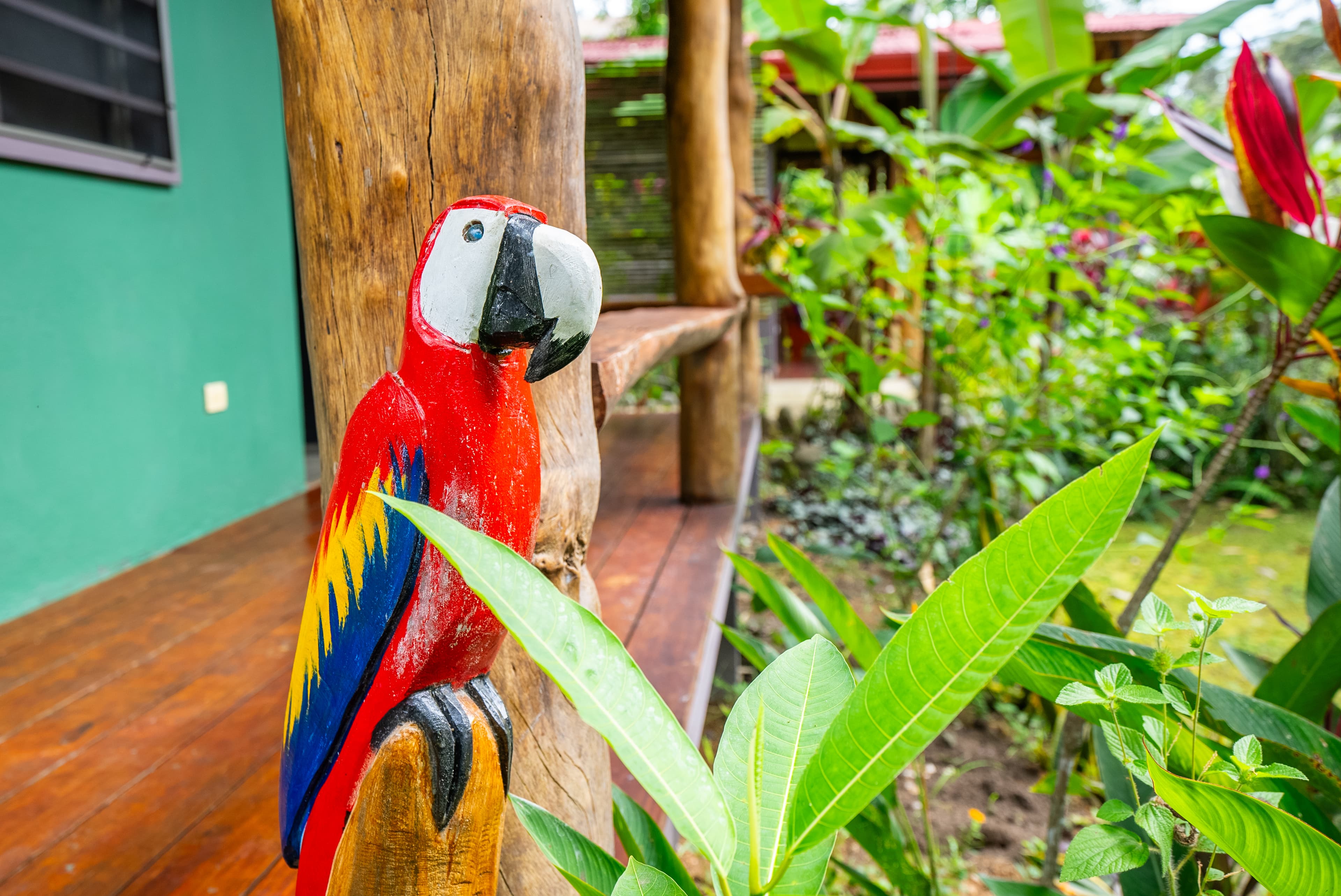 Our Boutique Hotel is a birdwatching paradise