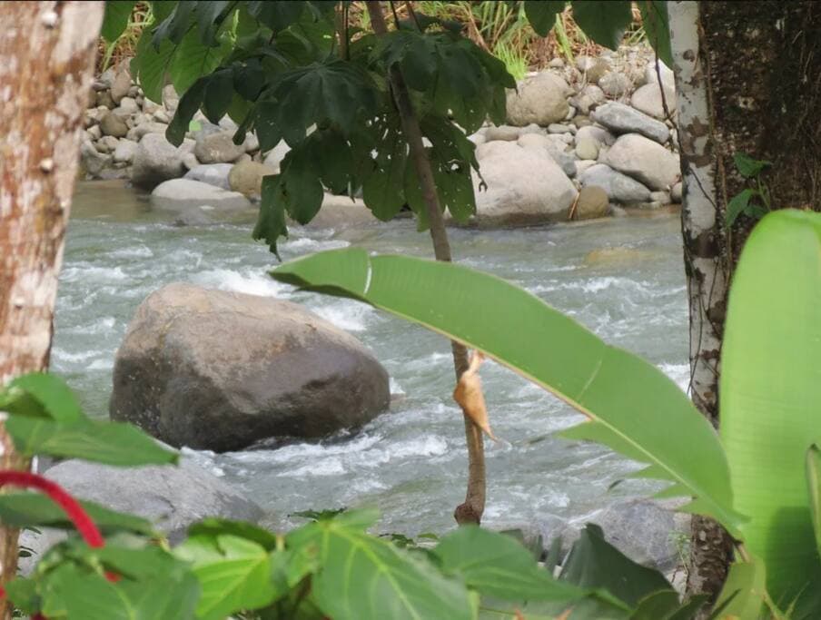 Directly on the banks of a river.