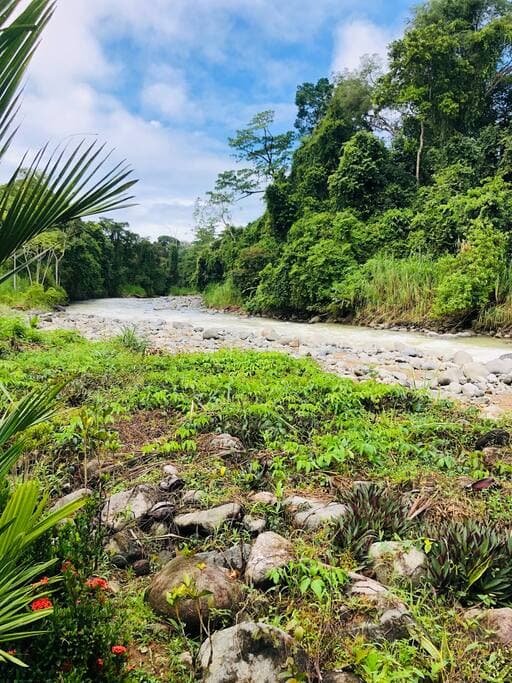 Amazing river views and safe to relax in the river.