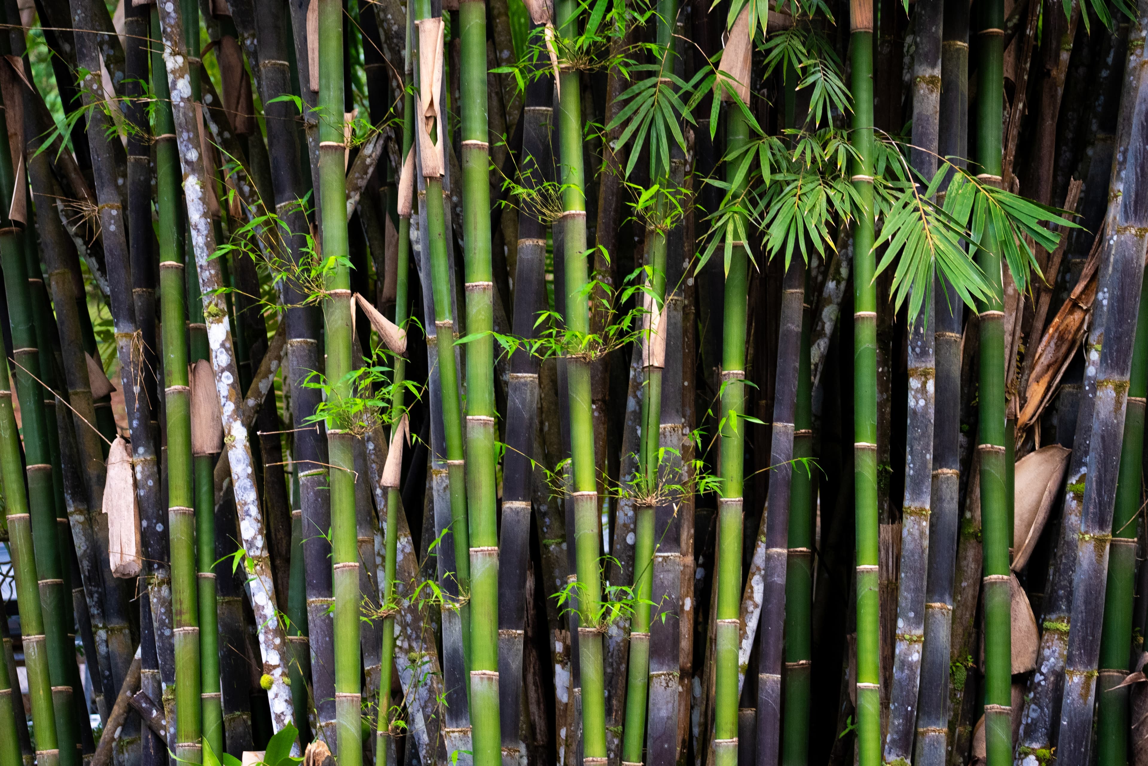 Our vacation rental villas are perfect for nature lovers!