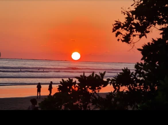 Playa Colonio beaches of Uvita Costa Rica the perfect jungle beach vacation Casitas Del Rio Riverfro