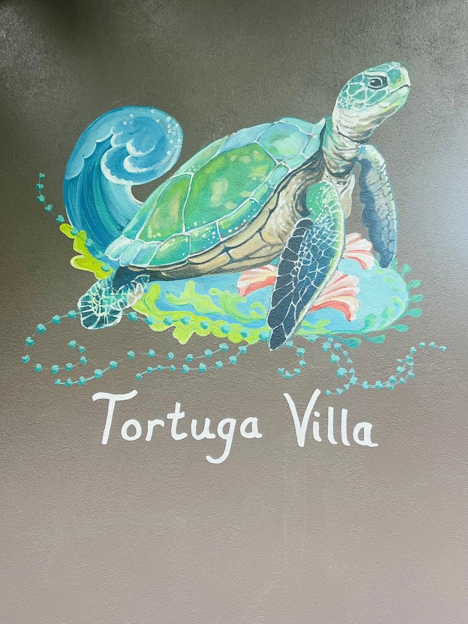Tortuga Villa is a vacation home