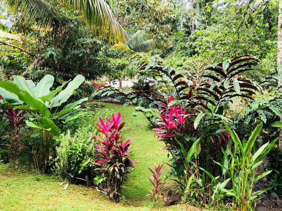 Elaborate Tropical Gardens with self guided nature trails at Casitas Del Rio Nature Lodge