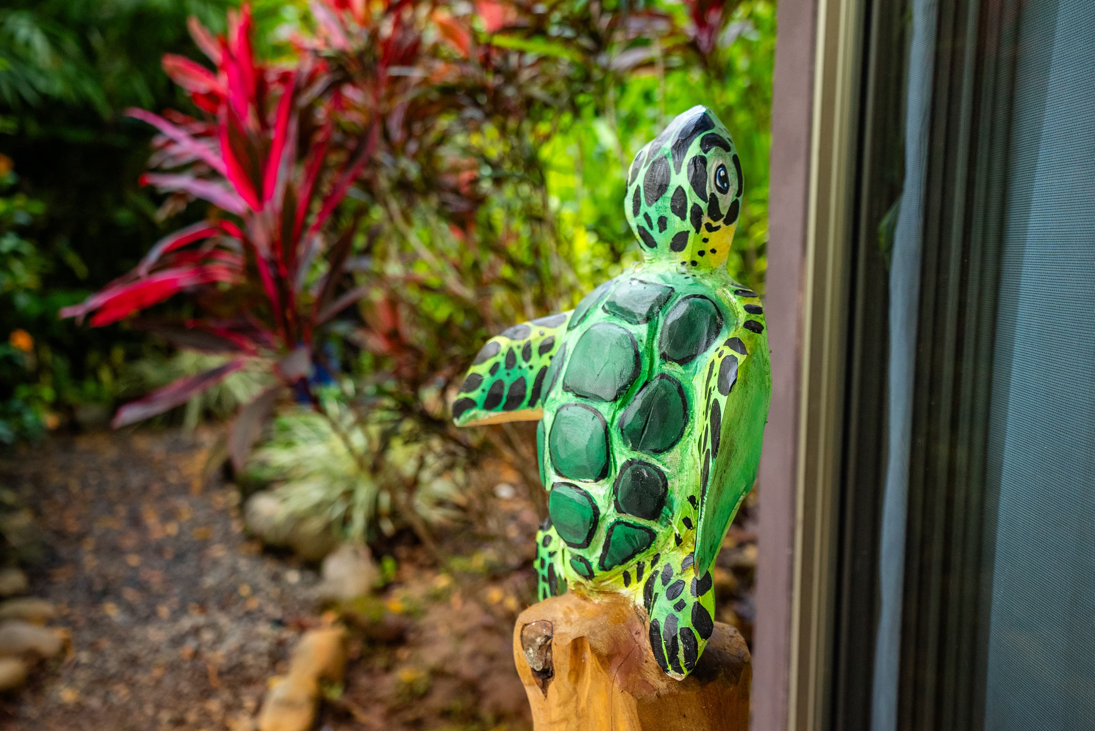 Tortuga Villa at our nature lodge.