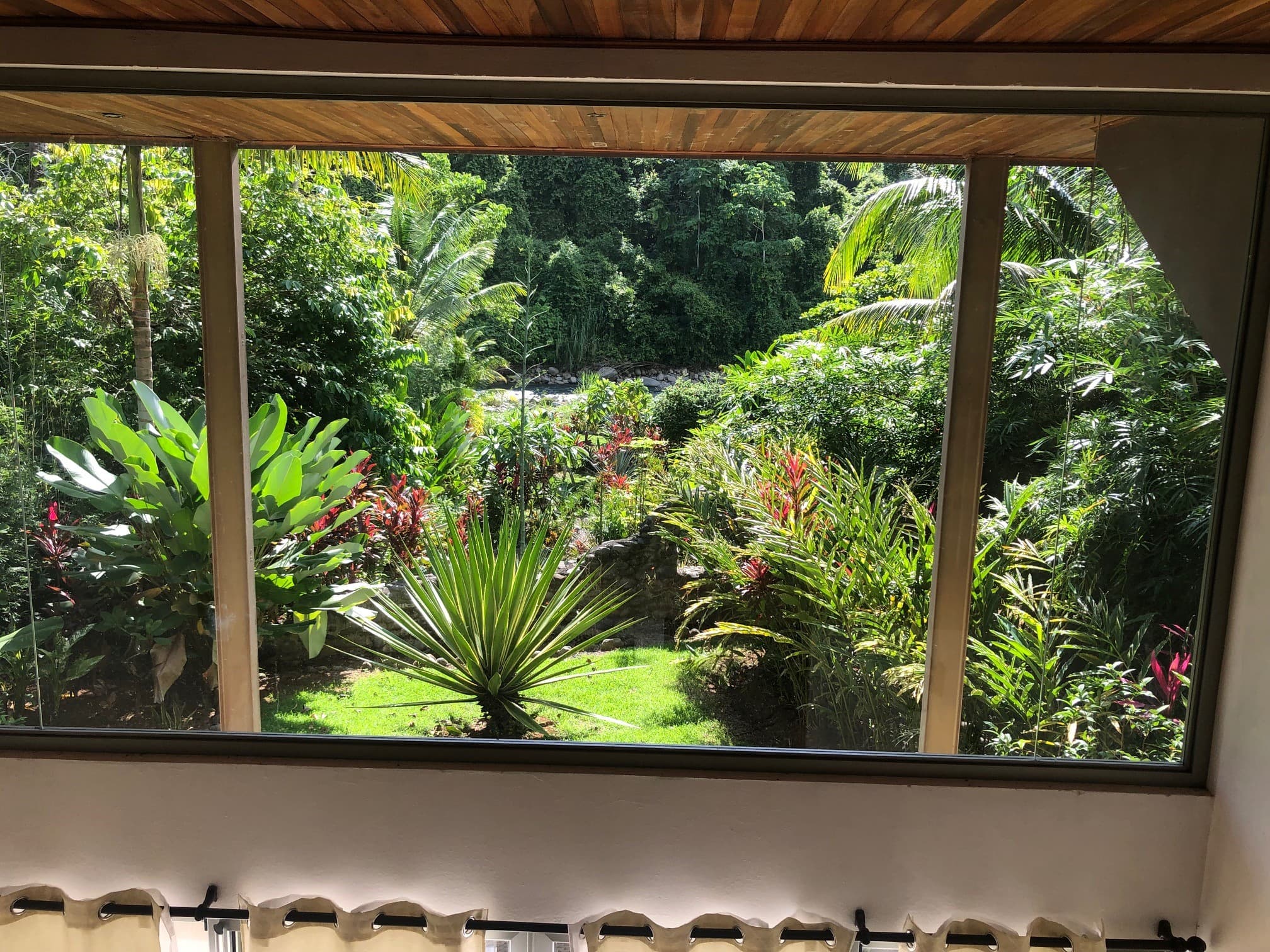 Tortuga view of the river and gardens