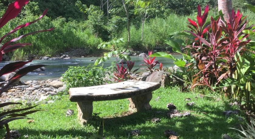 Monkey bird watching bench by the river Casitas Del Rio riverfront eco hotel