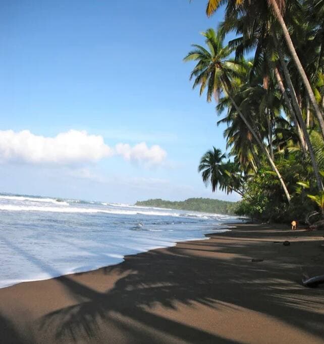 Playa Hermosa is only 2.4 kilometers from Tortuga Villa, our favorite beach!