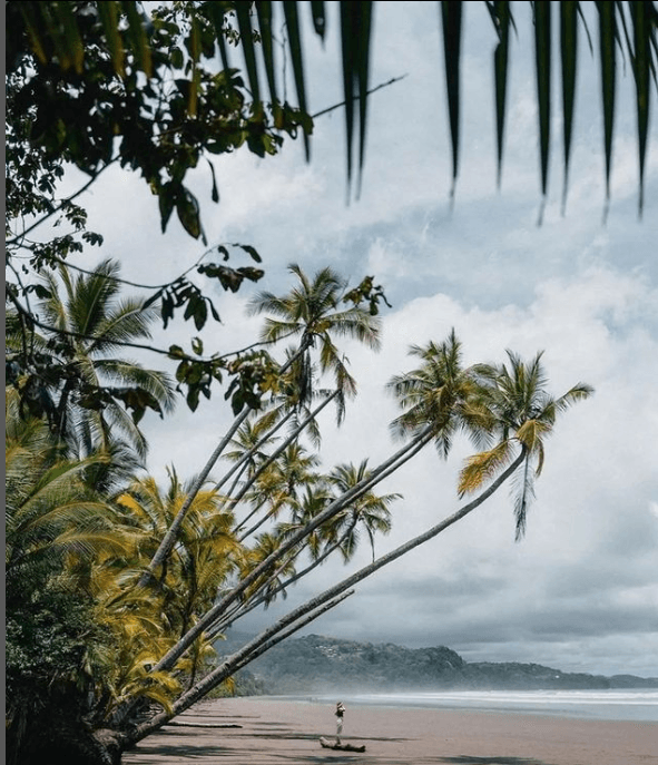 Jungle Beach Experience near Casitas Del Rio Riverfront Eco Lodge (1)