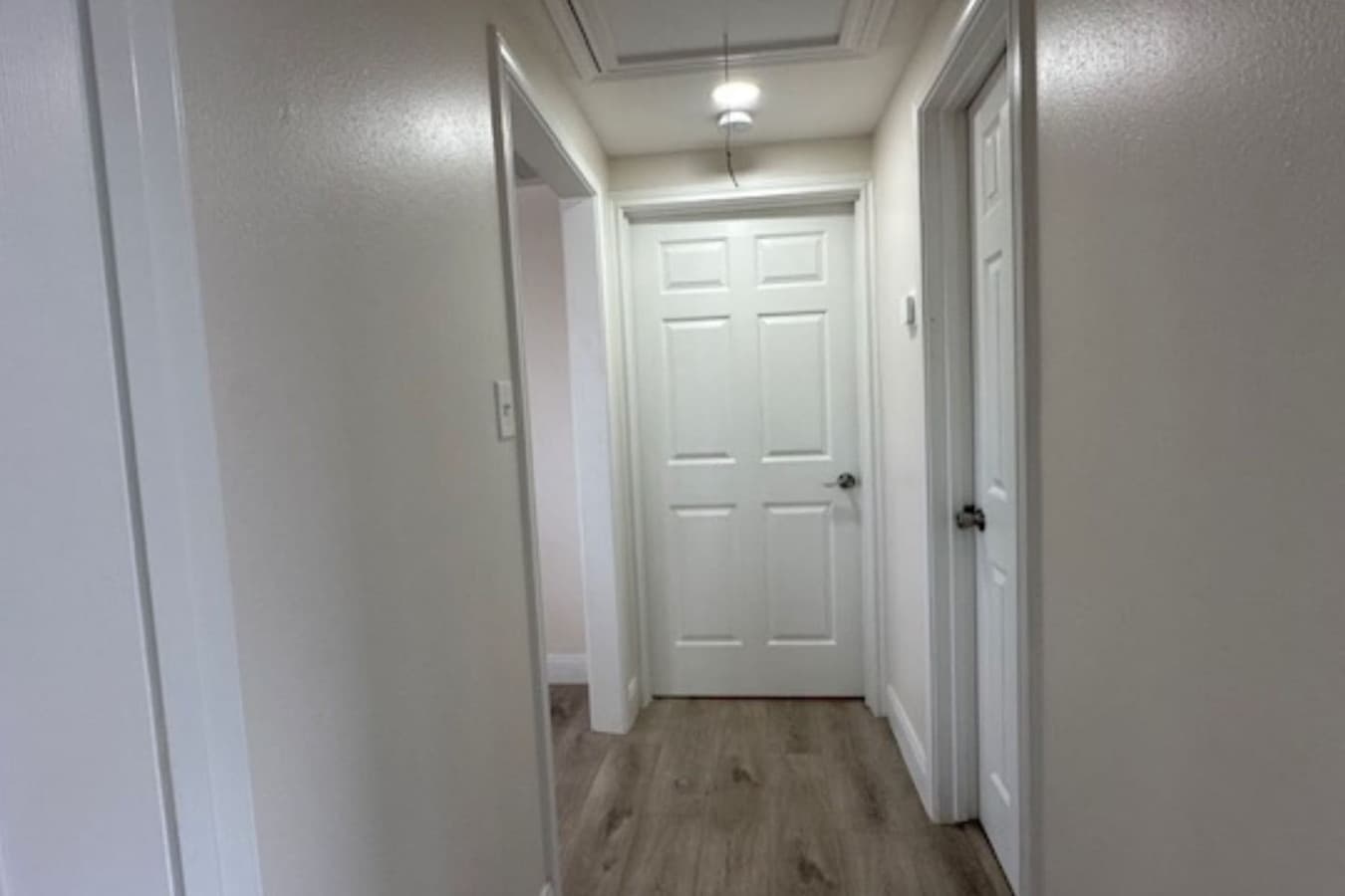 Gallery Image 19