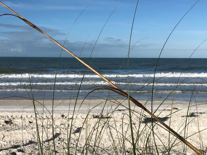 The Beach