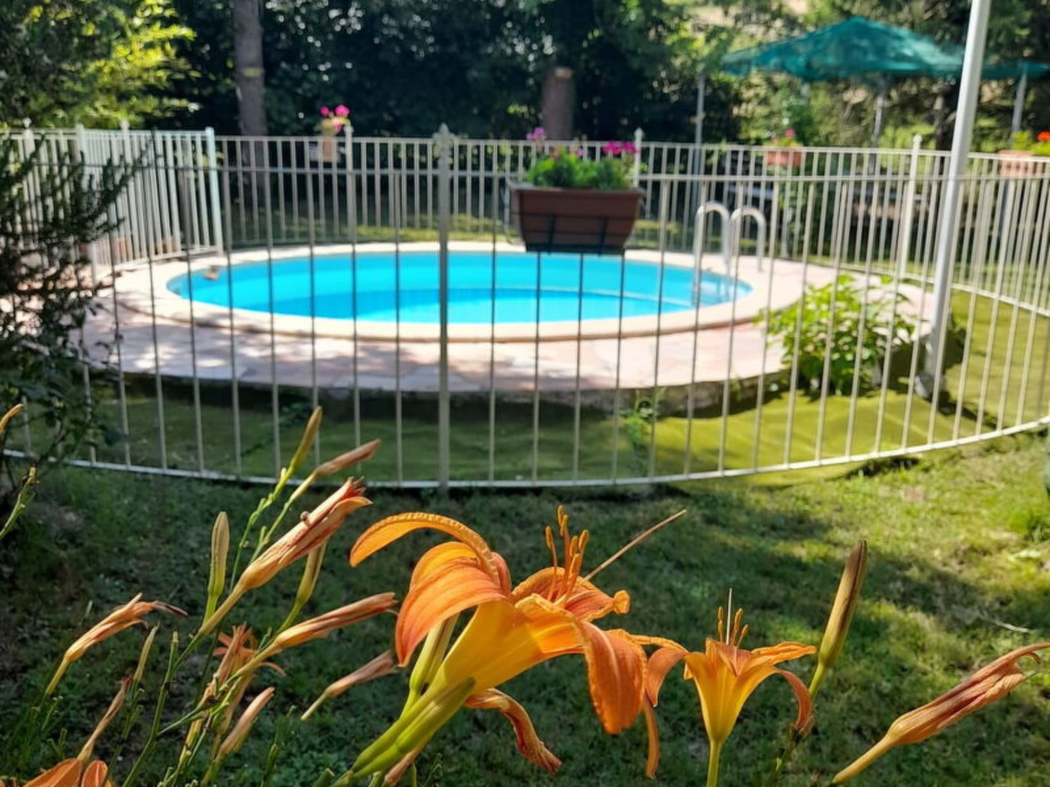 Pool Outdoor