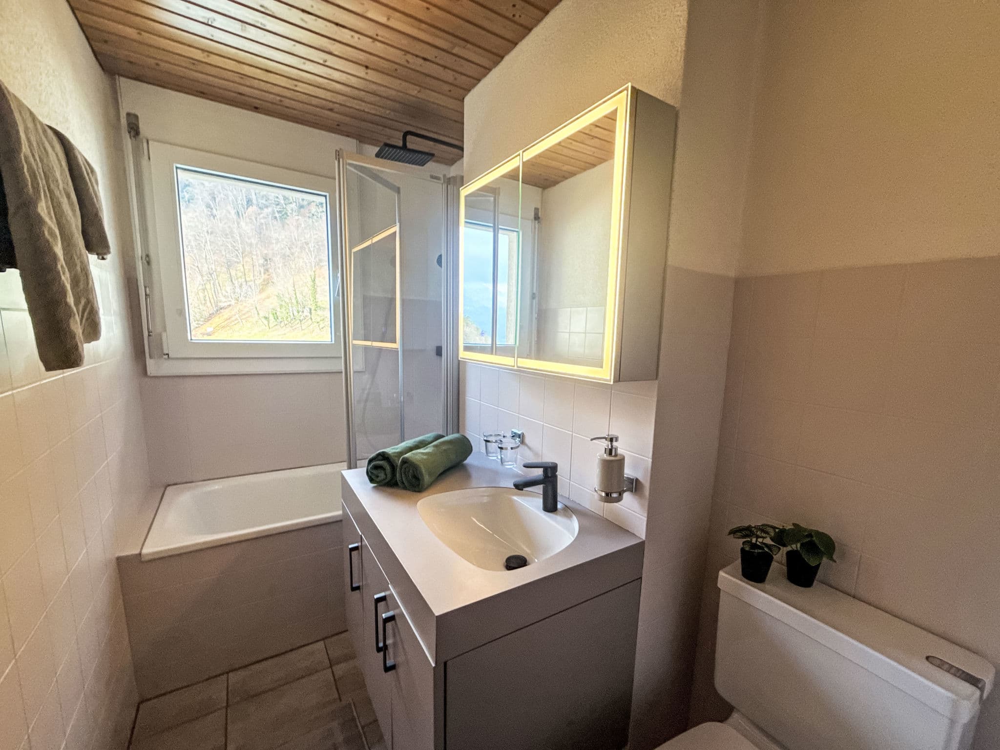 Bathroom / Wellness