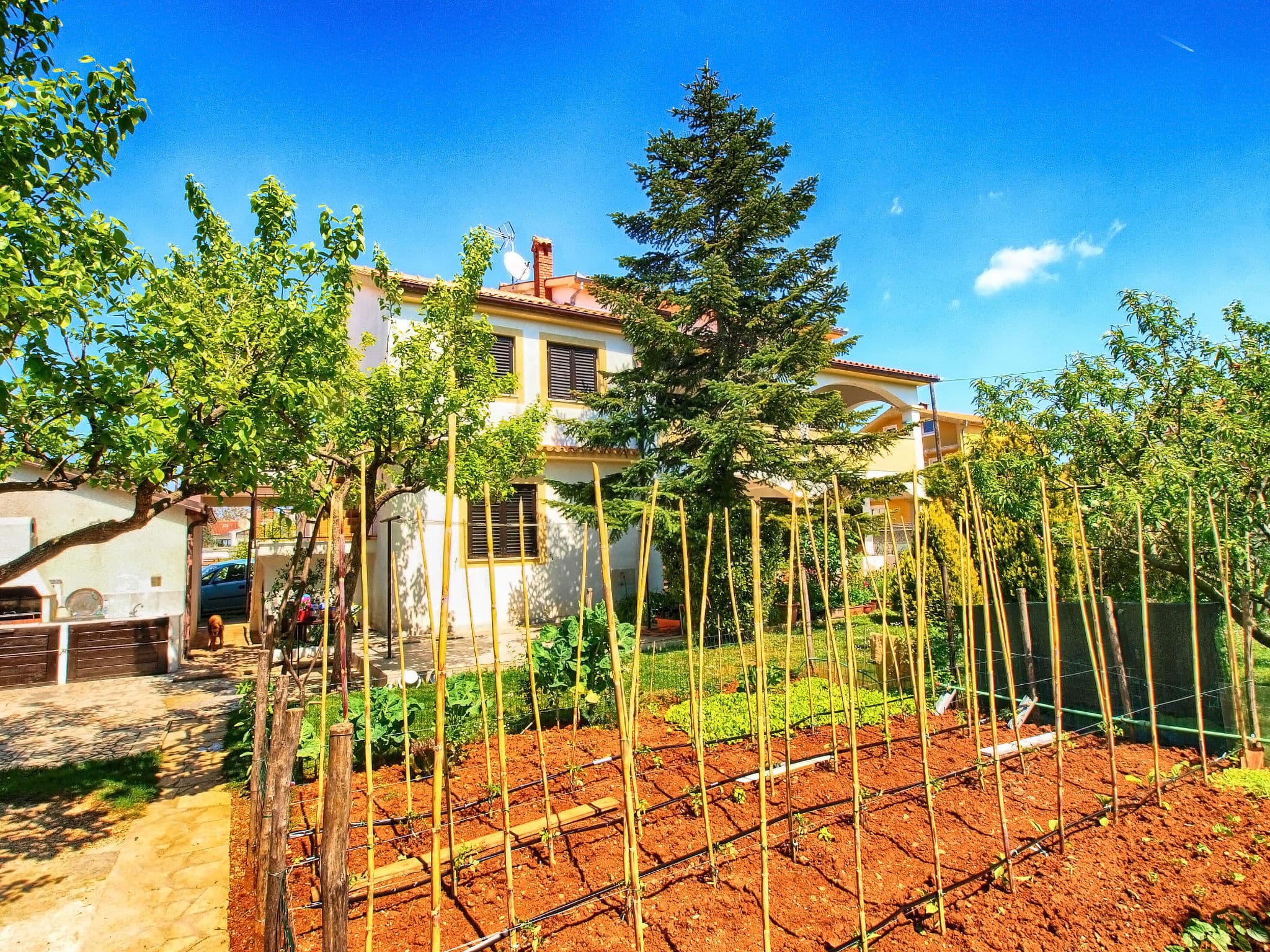 House