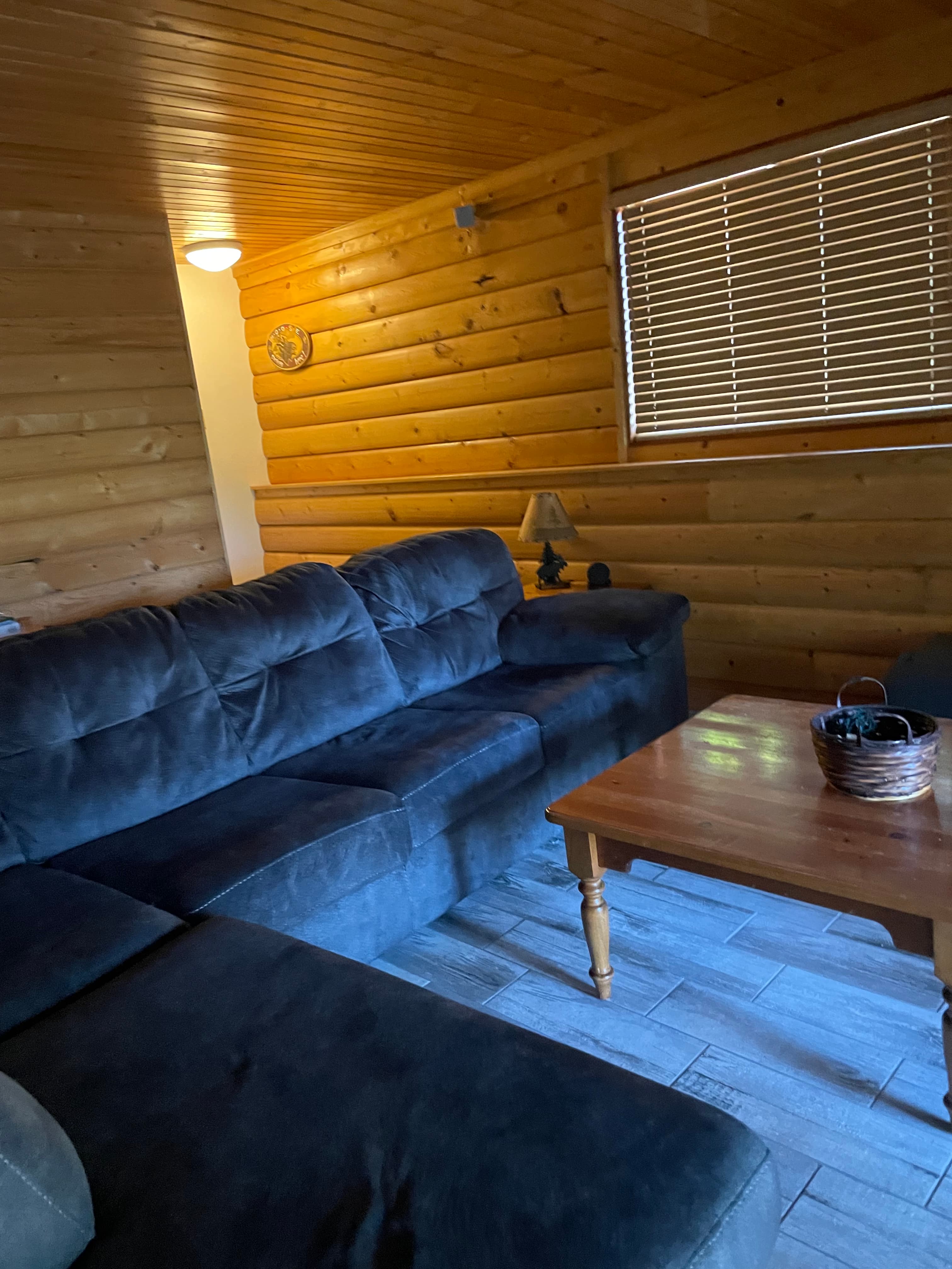 Basement Family room