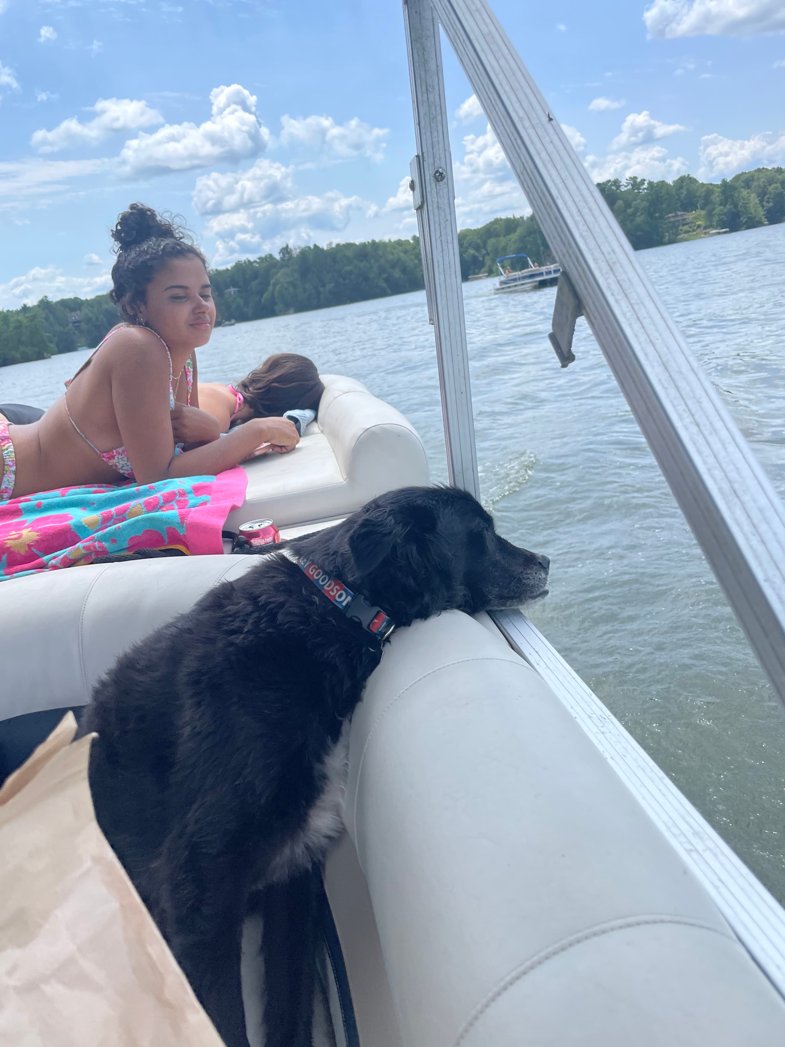 Pontoon boat out on the lake. Pets love the water too! 