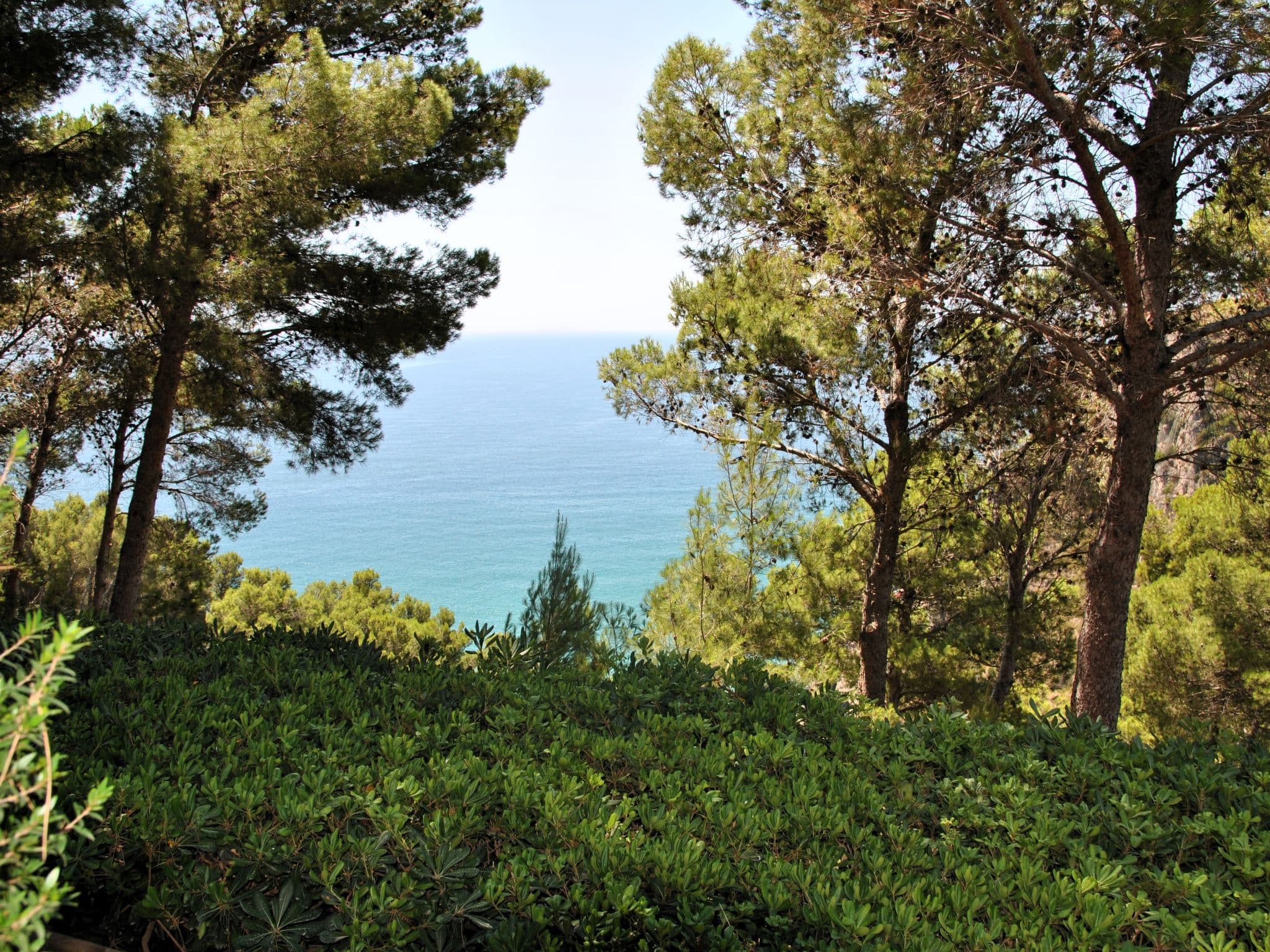 View