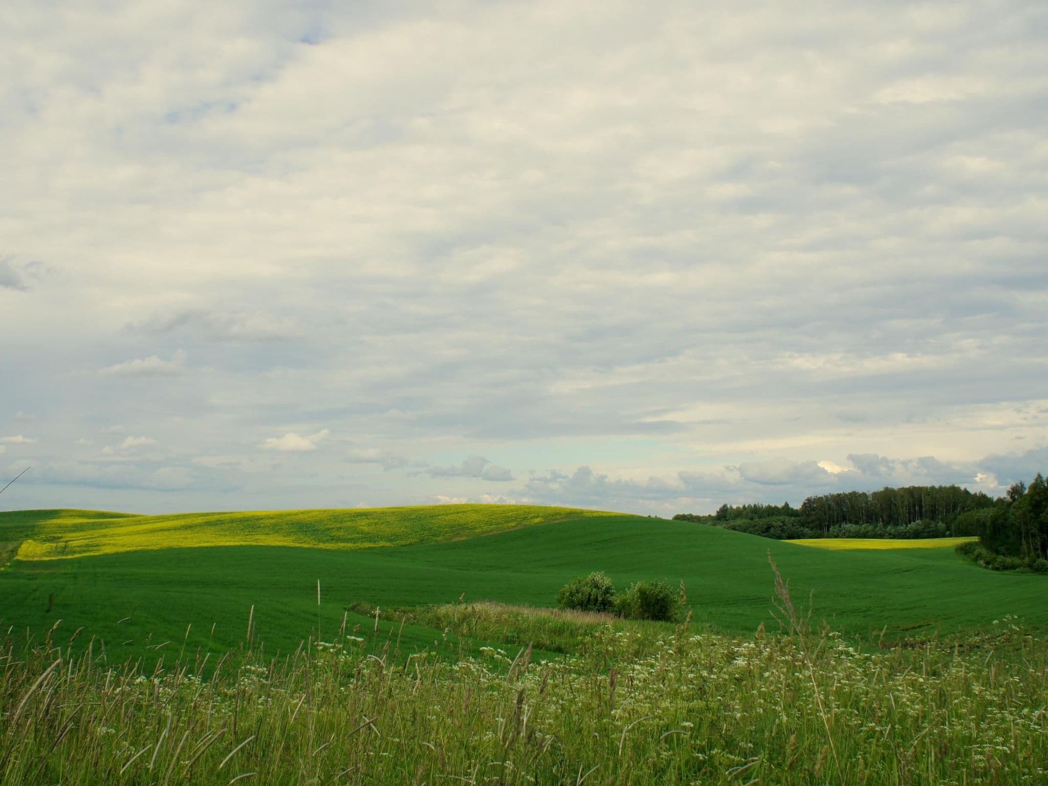 Gallery Image 29