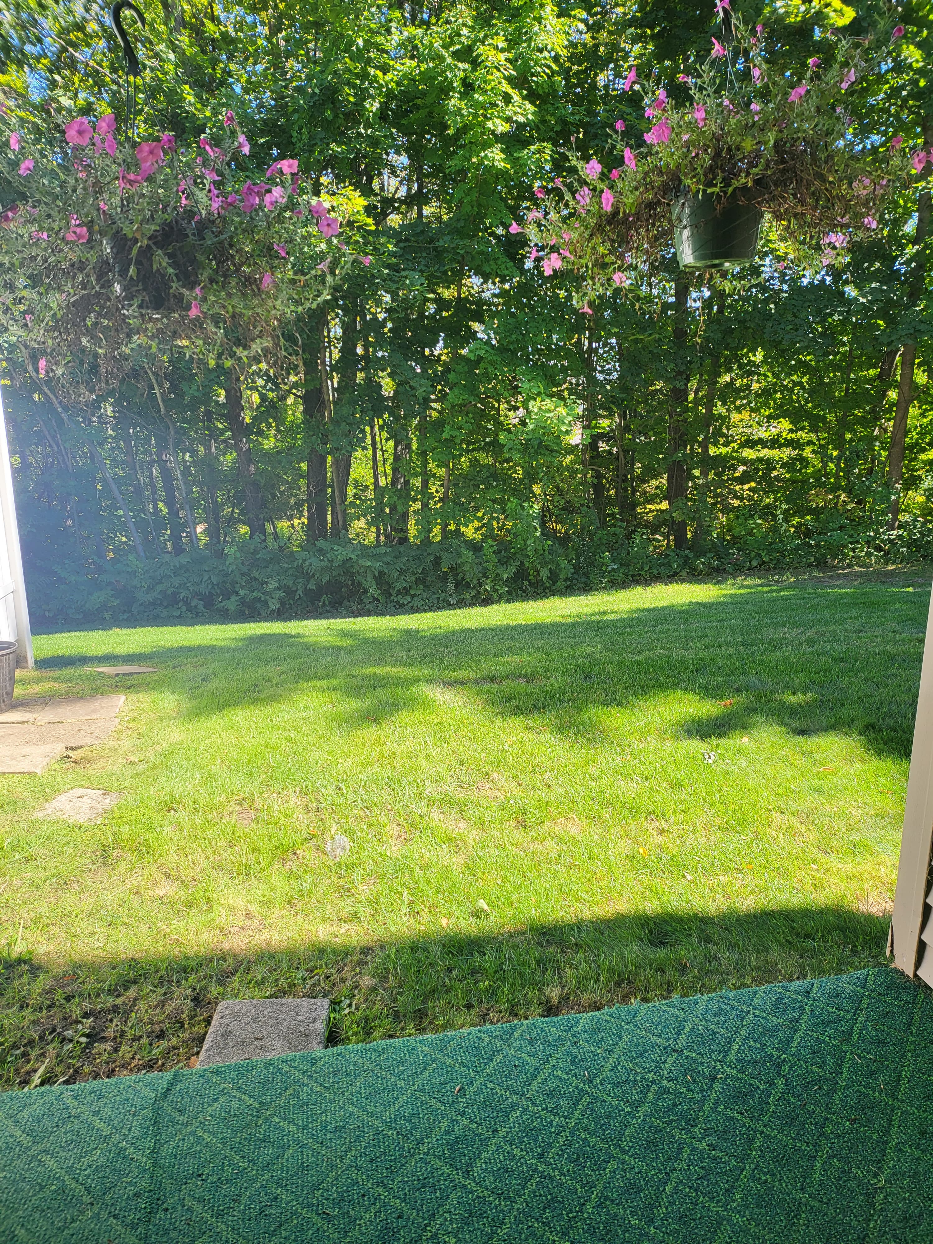 Semi Private Backyard