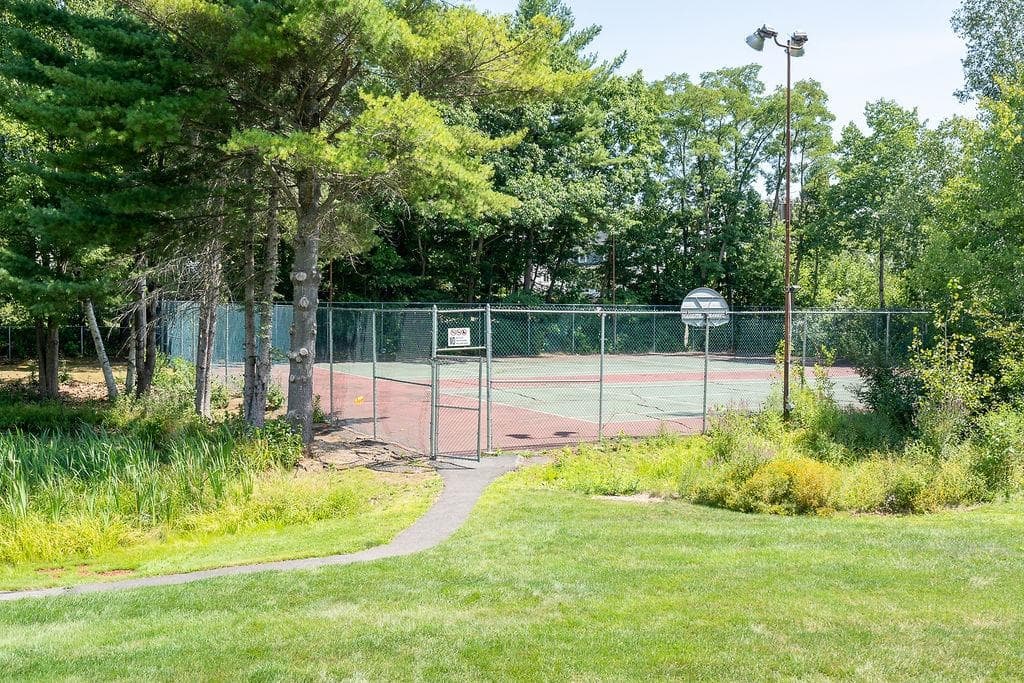 Basketball Court