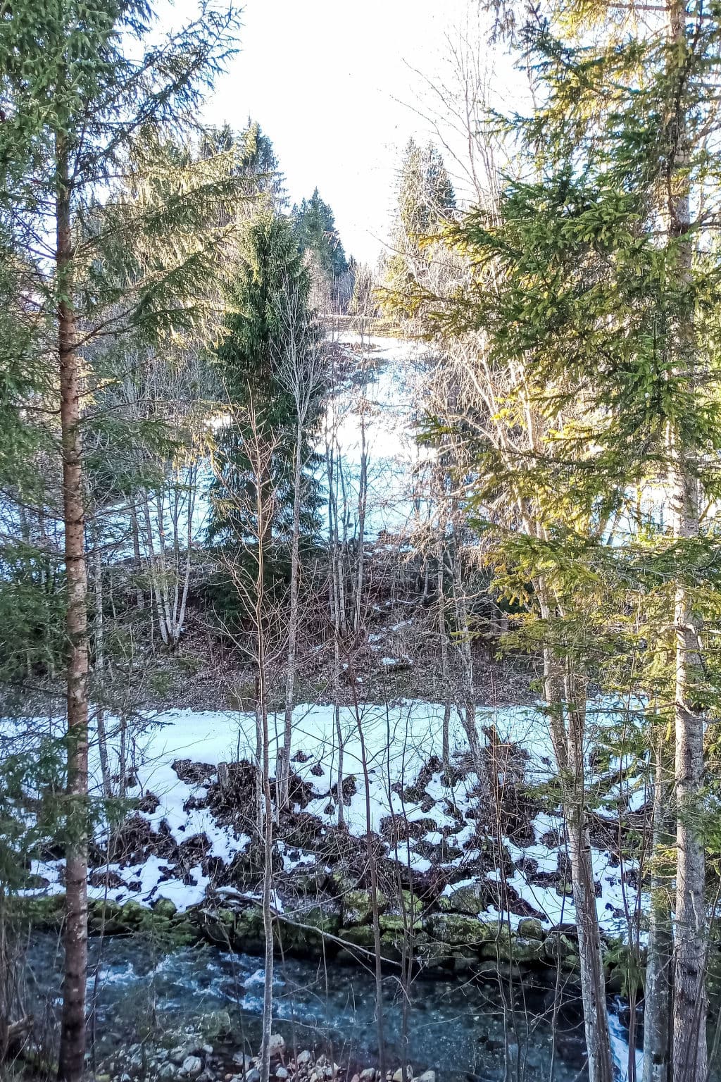 View