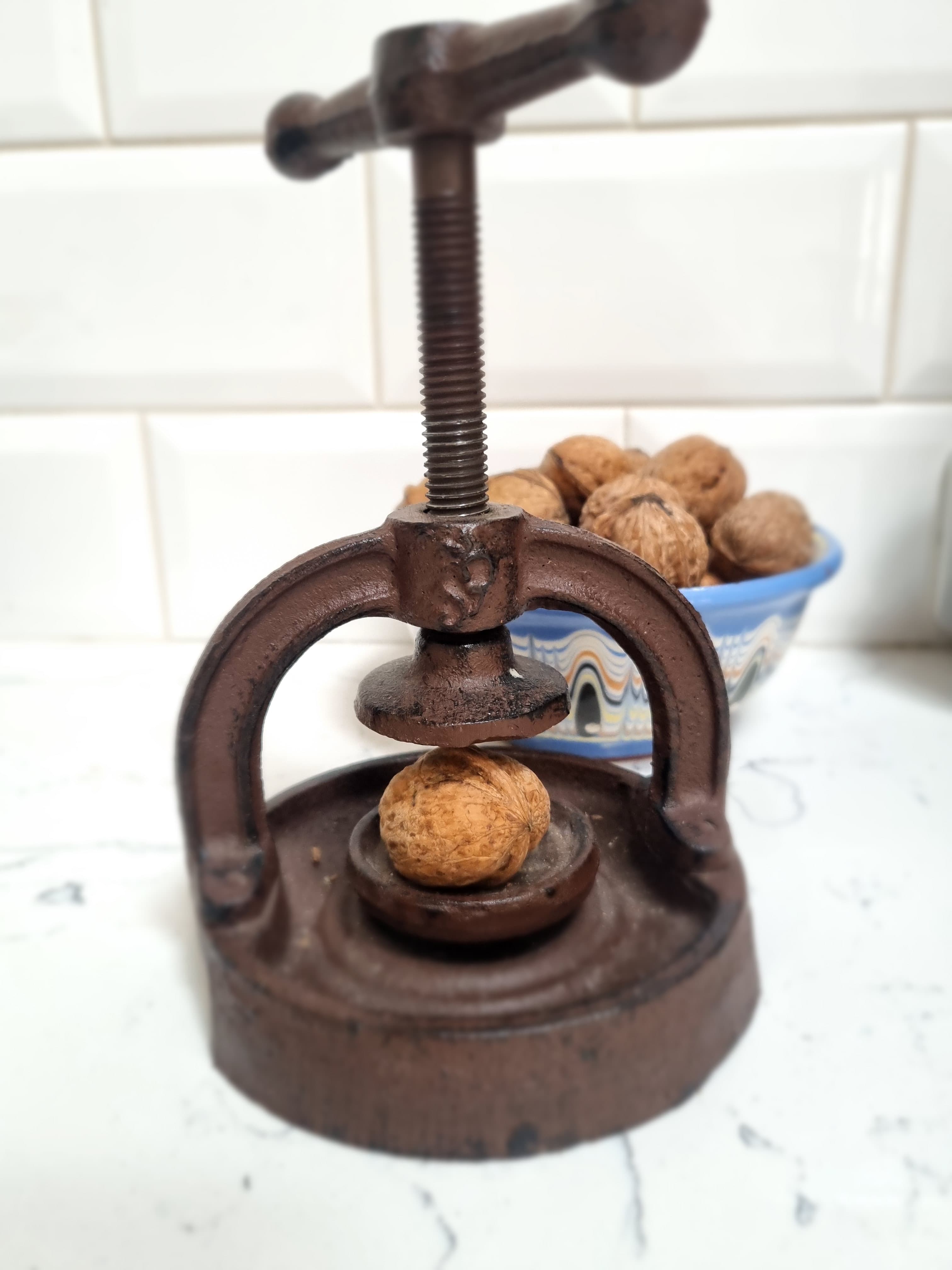 Walnuts from our own tree