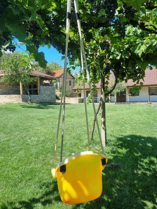 View from the swing