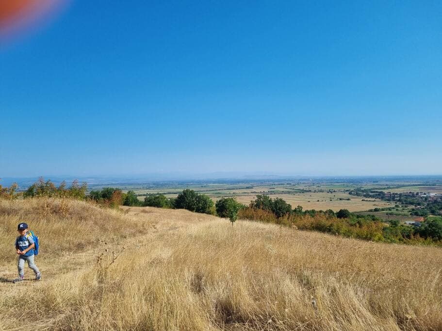 View on the village in August