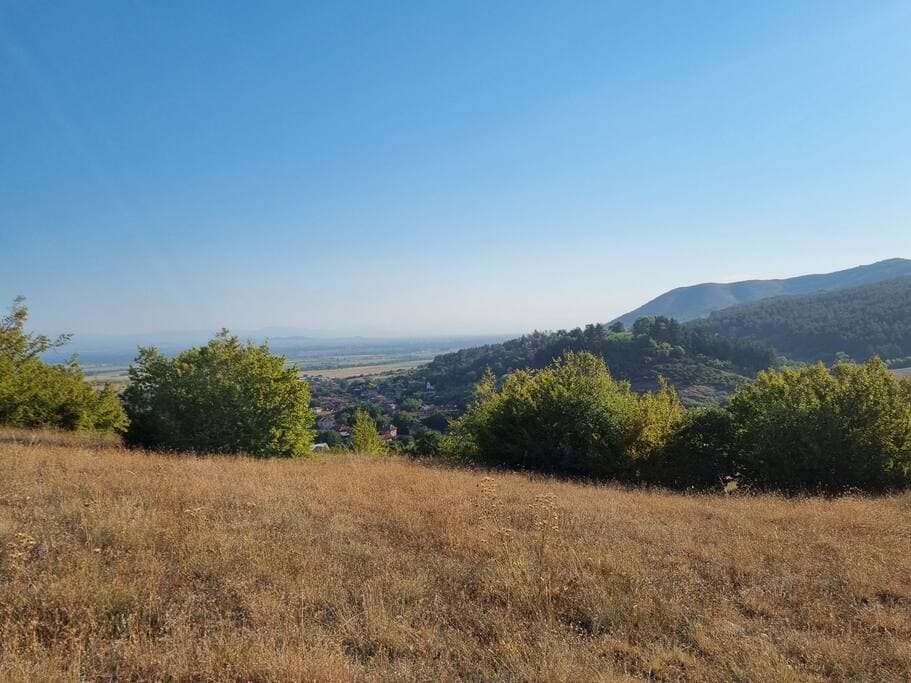 Picture from the walk next to the house in August