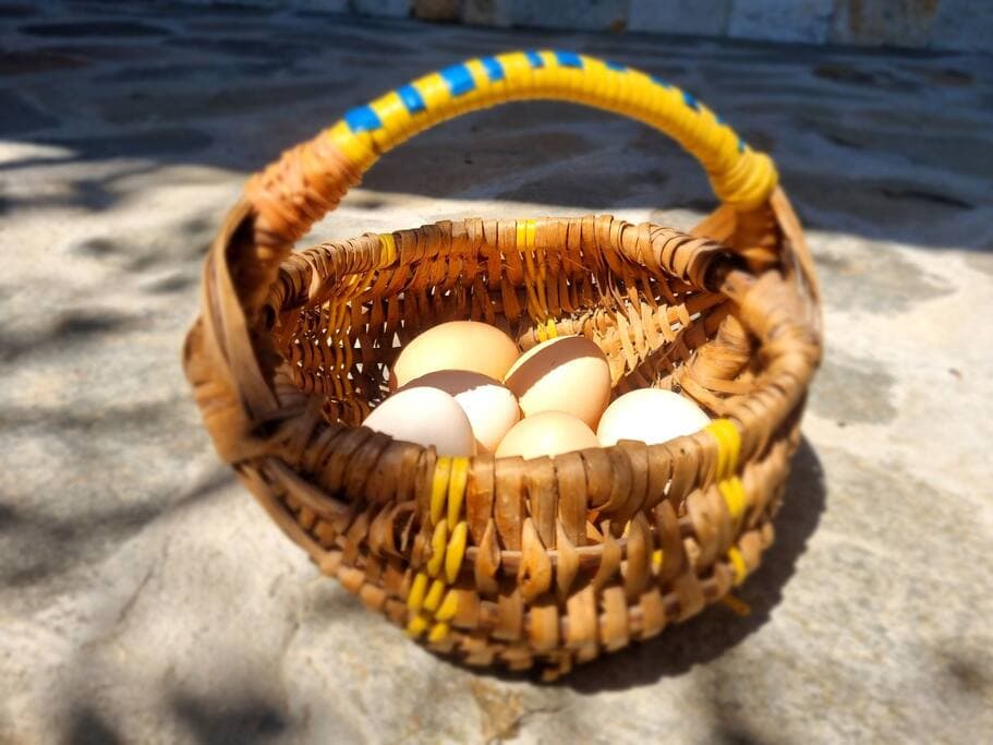 Fresh eggs