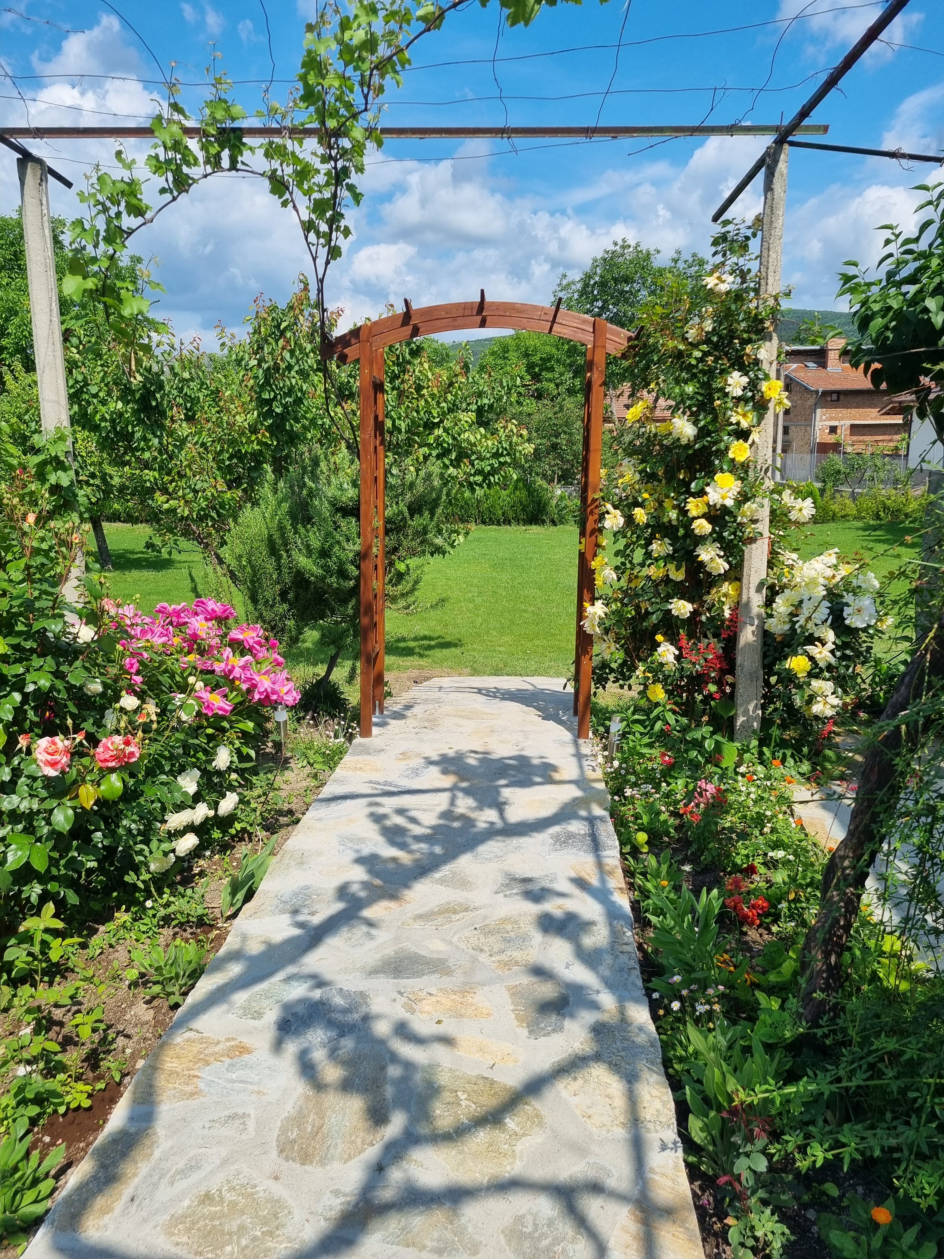 Roses on the path