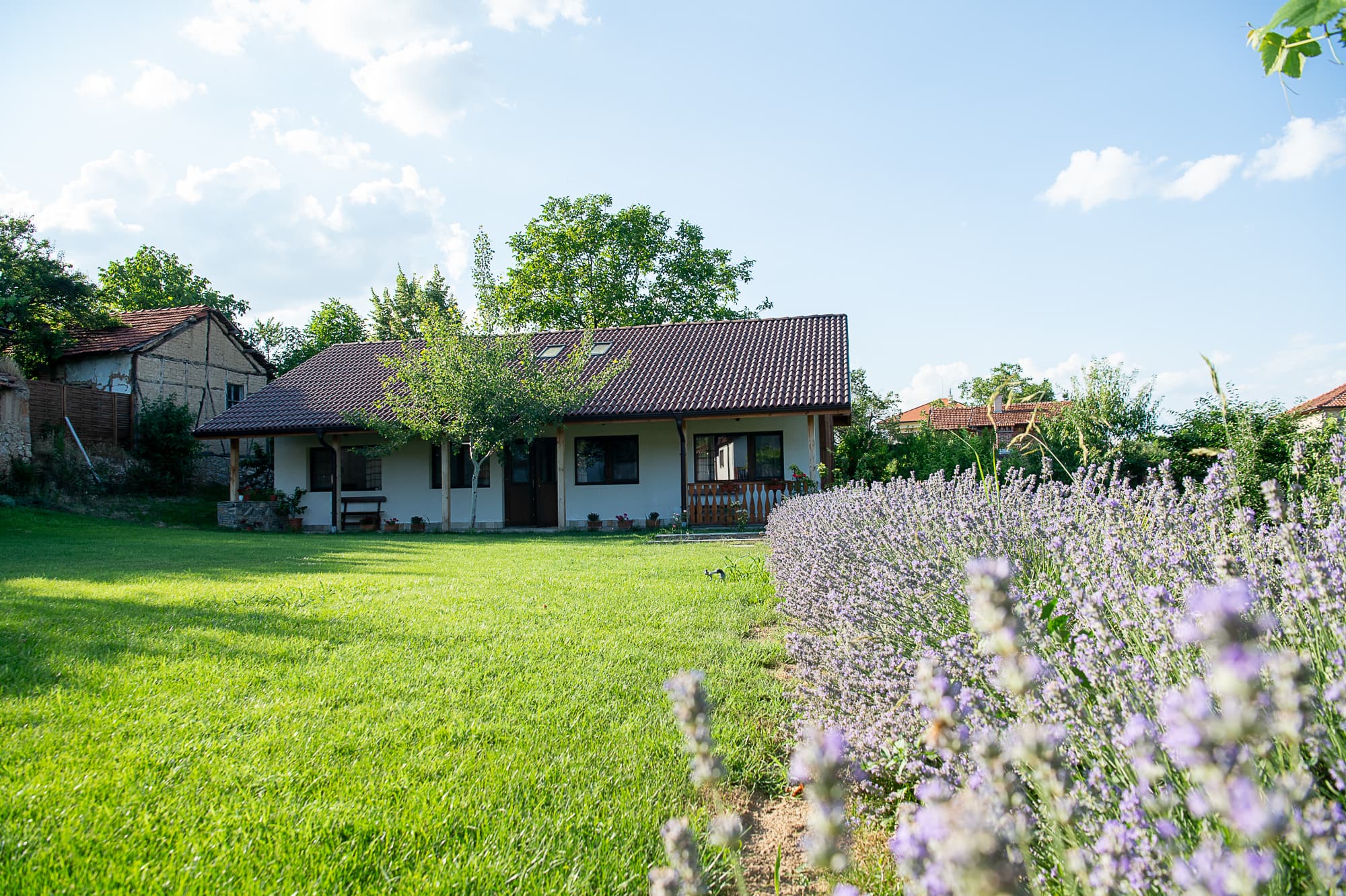 The cottage