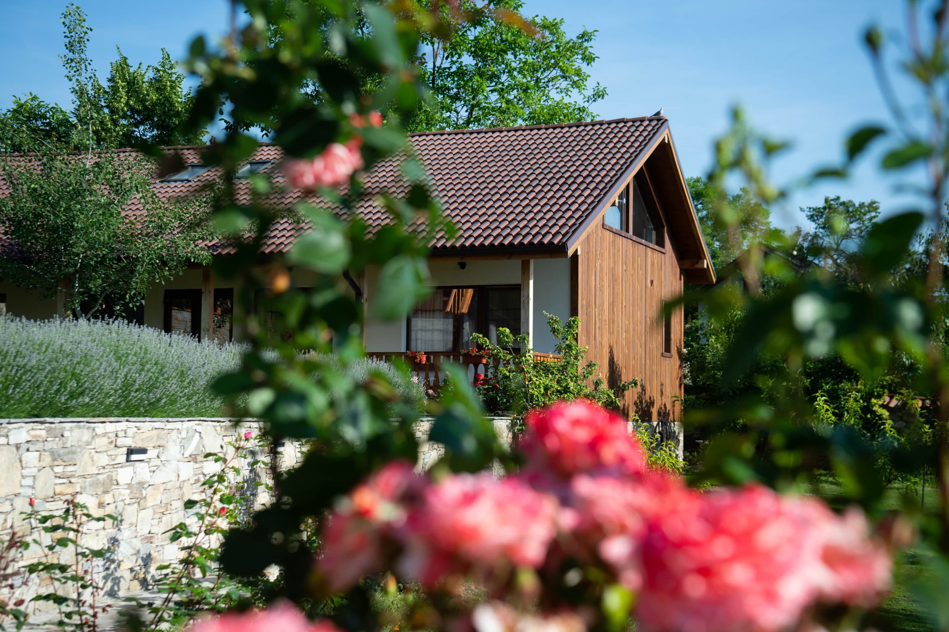 Cottage view from garden