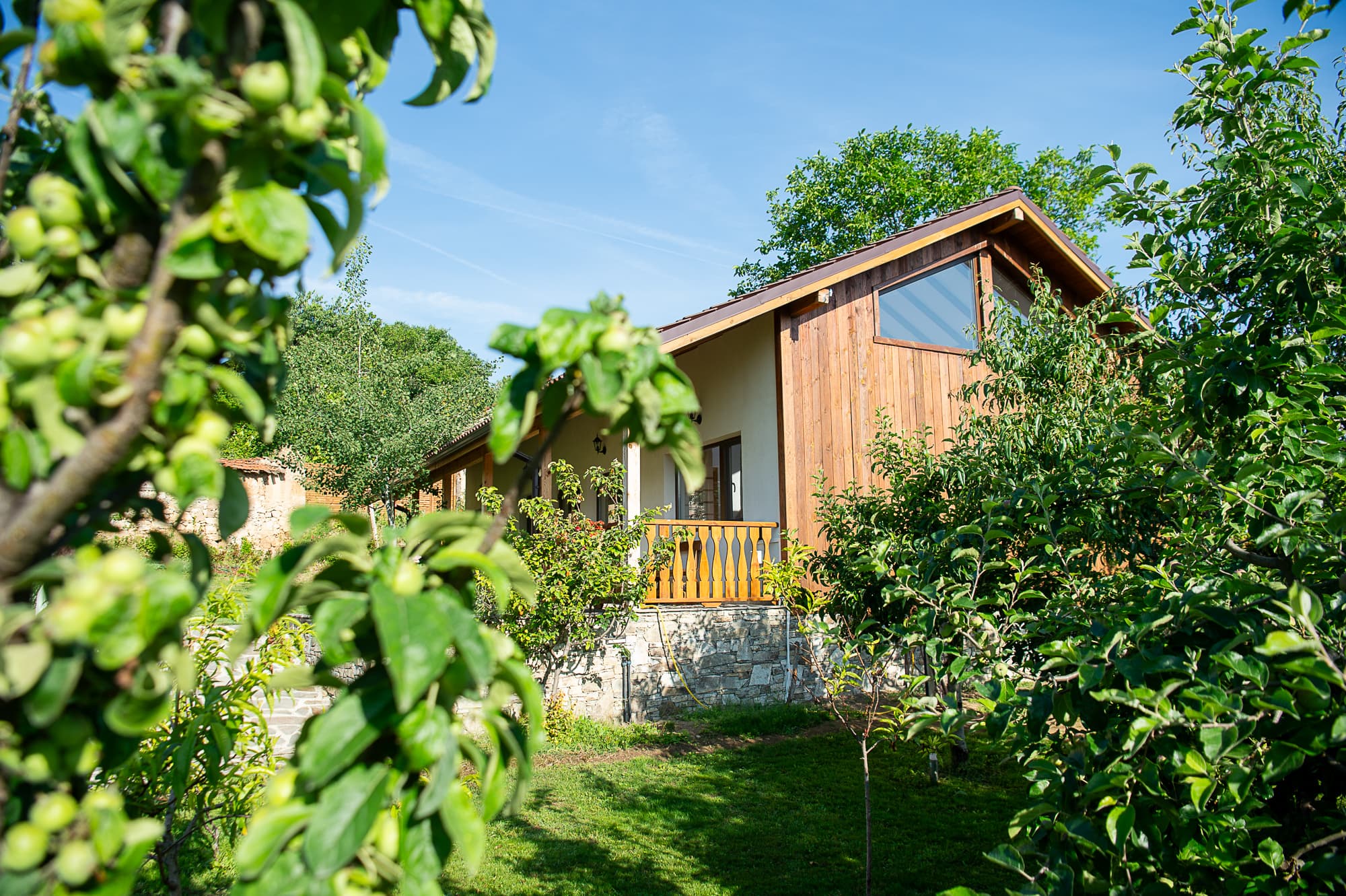 Cottage view from garden