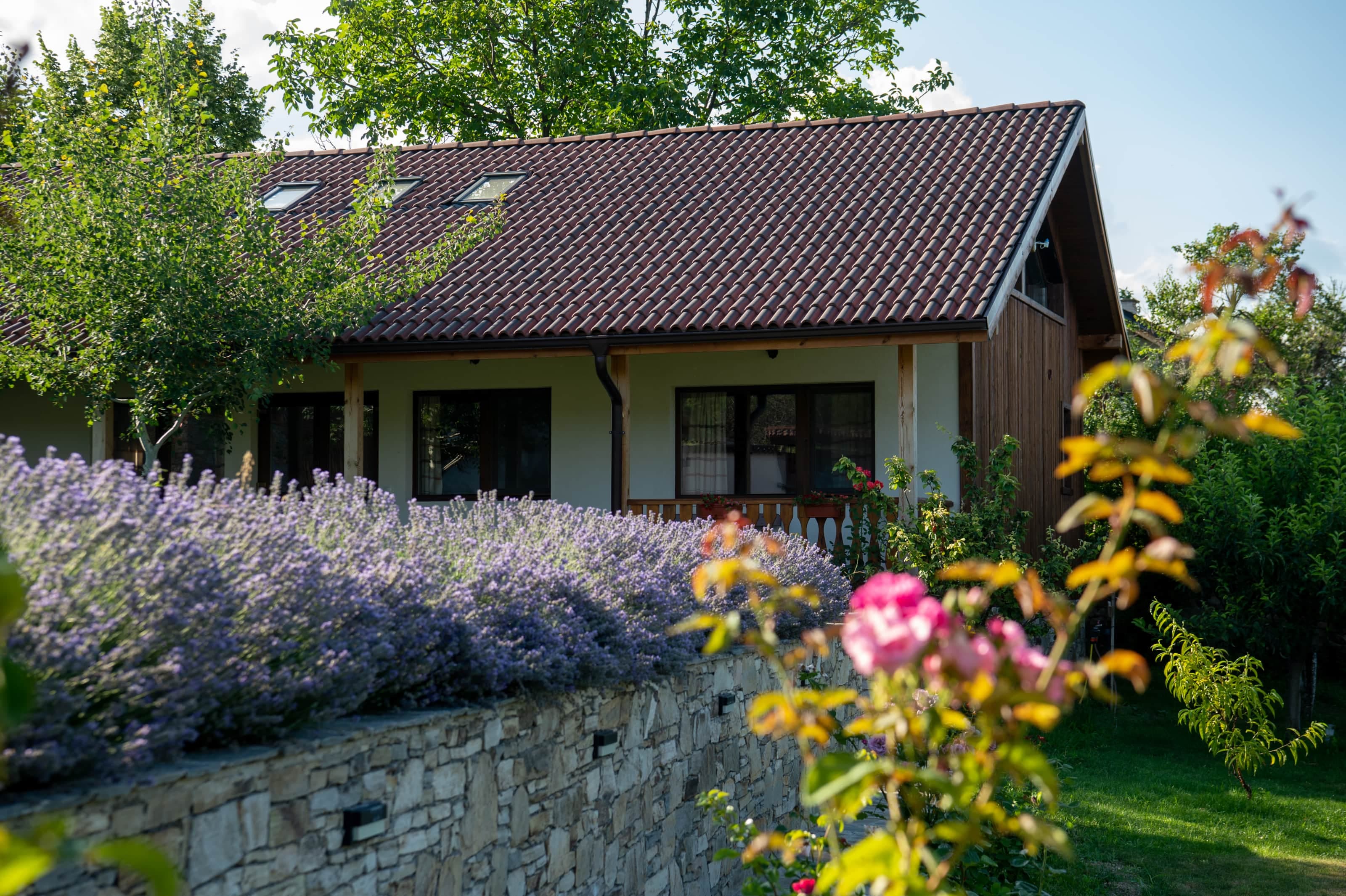 Lavender season 