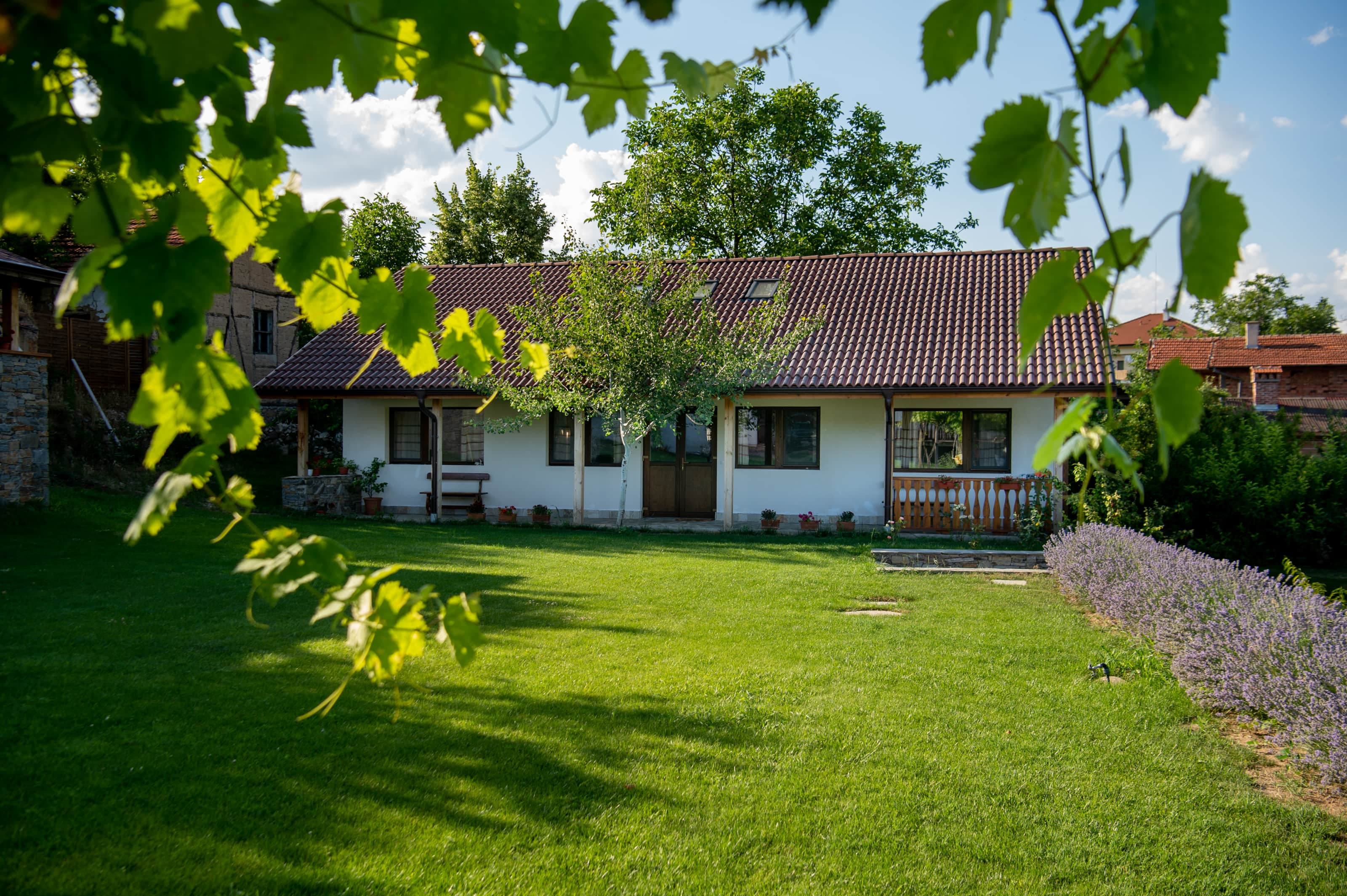 Lawn in June