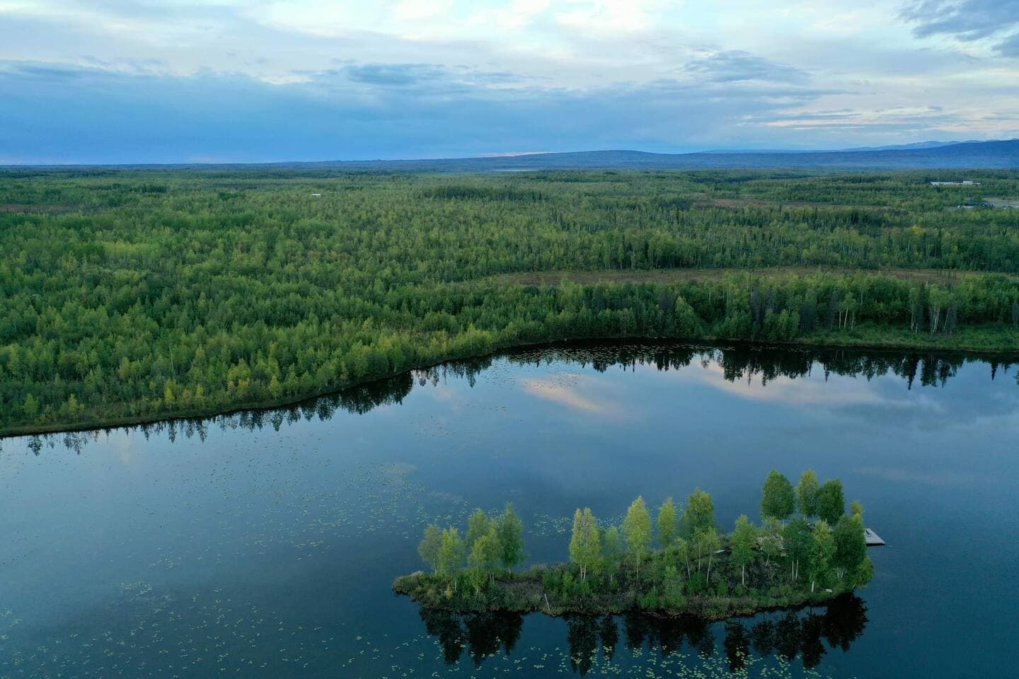 Gallery Image 13