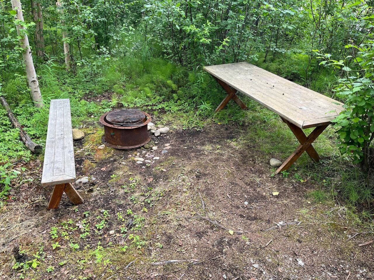 Gallery Image 18