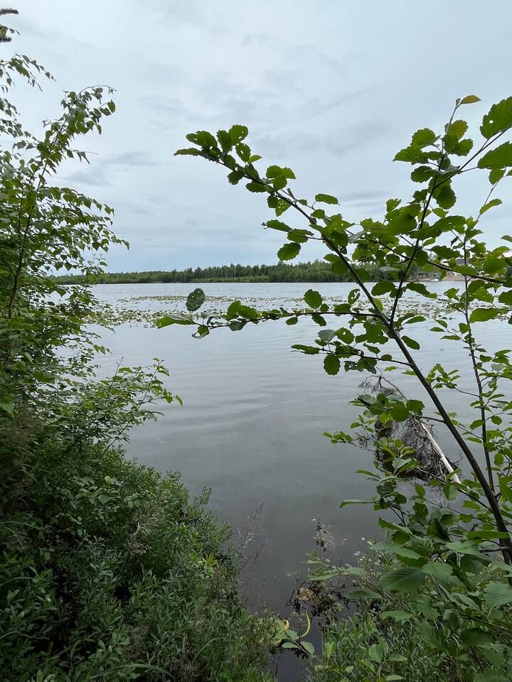 Gallery Image 20