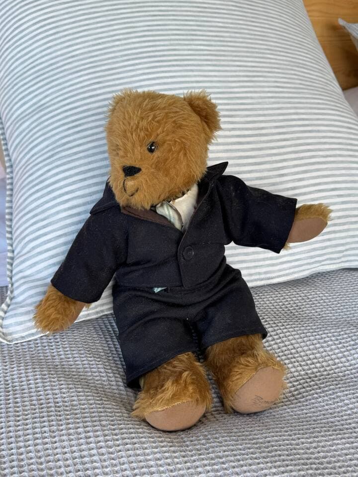 A bear from Casa Playa de los osos