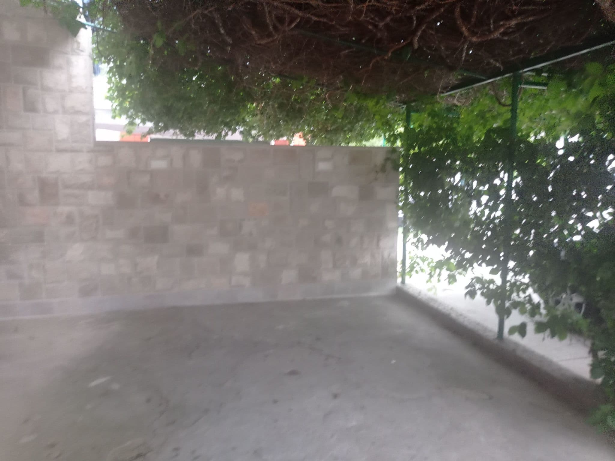 Gallery Image 37