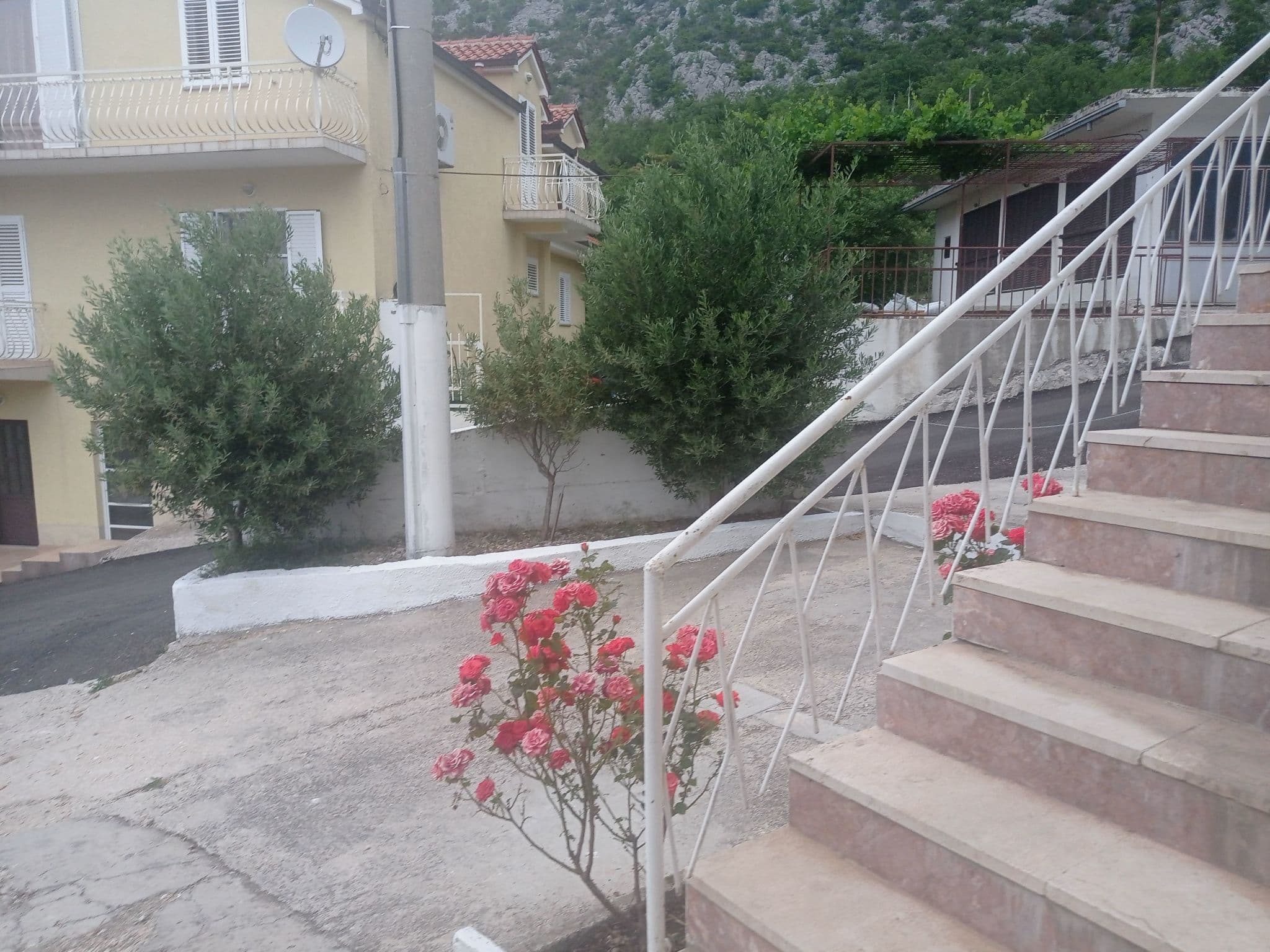 Gallery Image 43