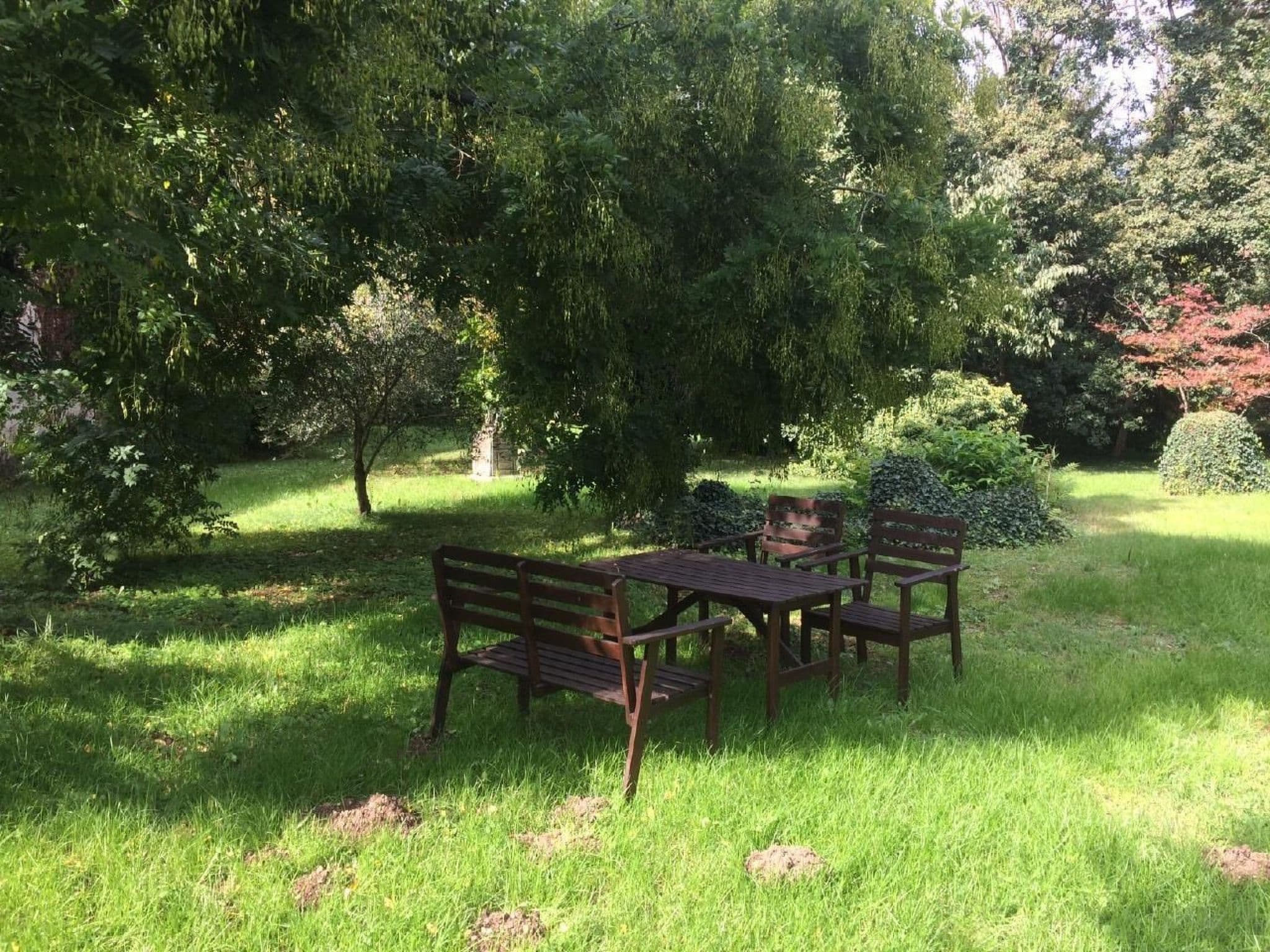Gallery Image 17