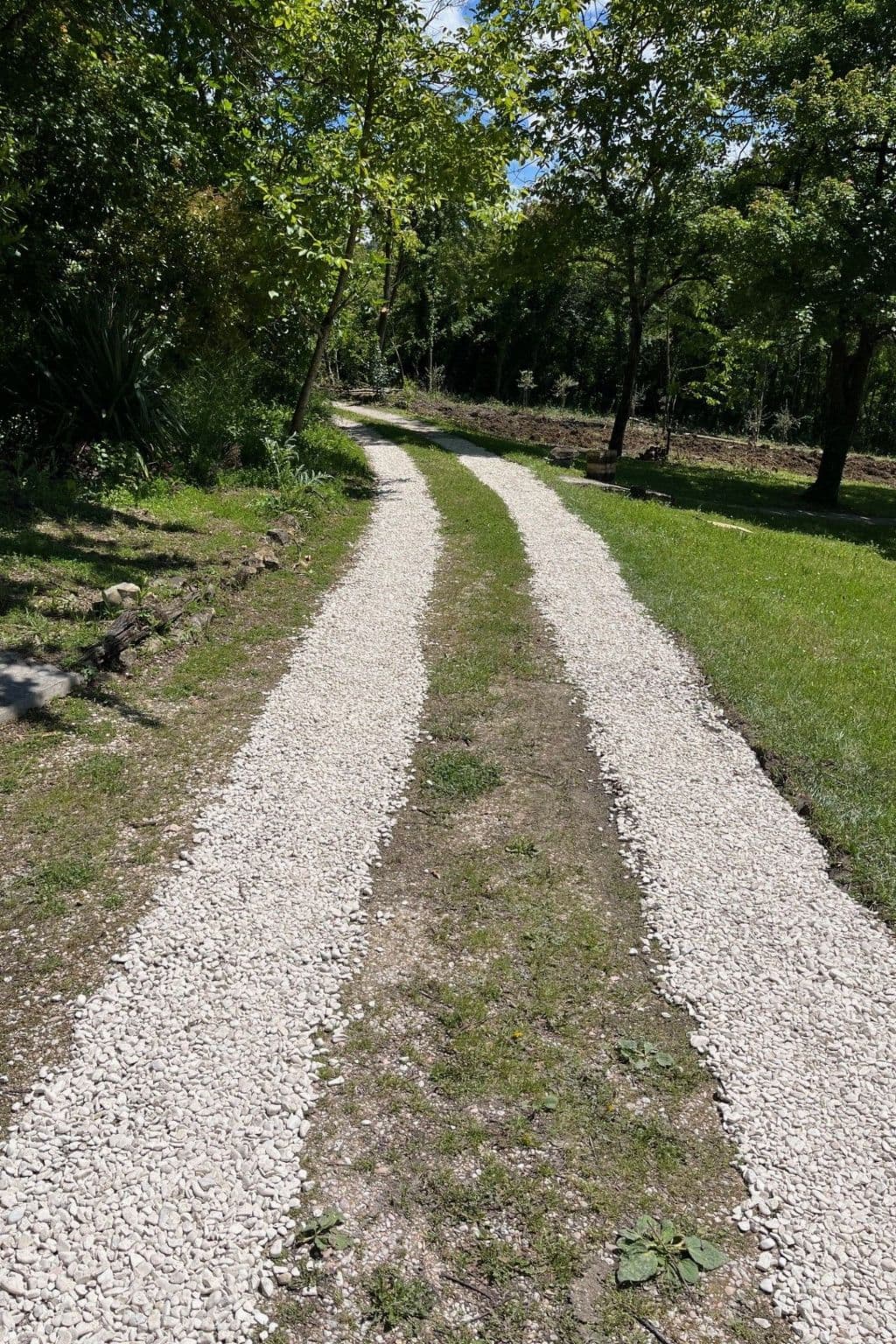 Gallery Image 23