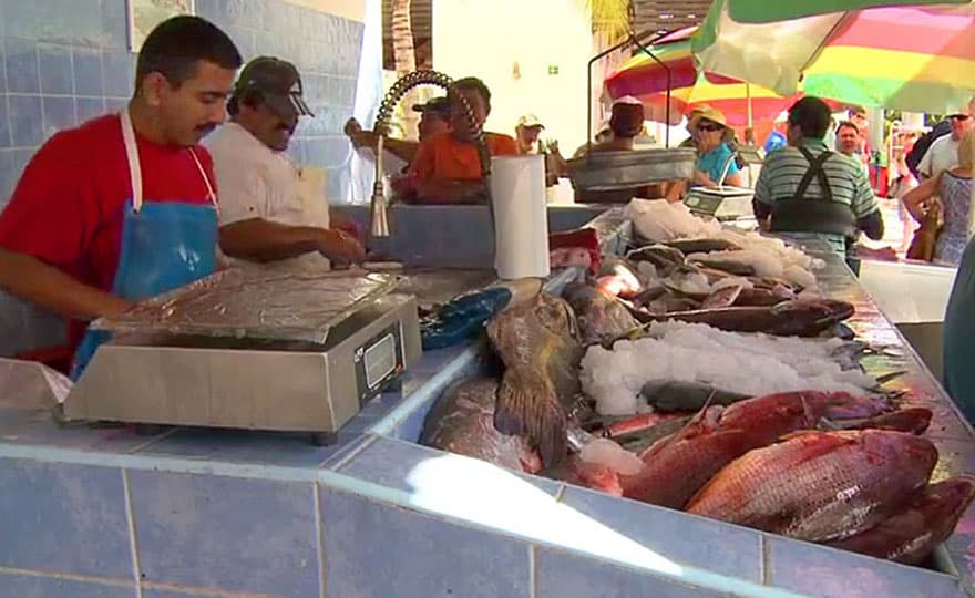 Fish Market