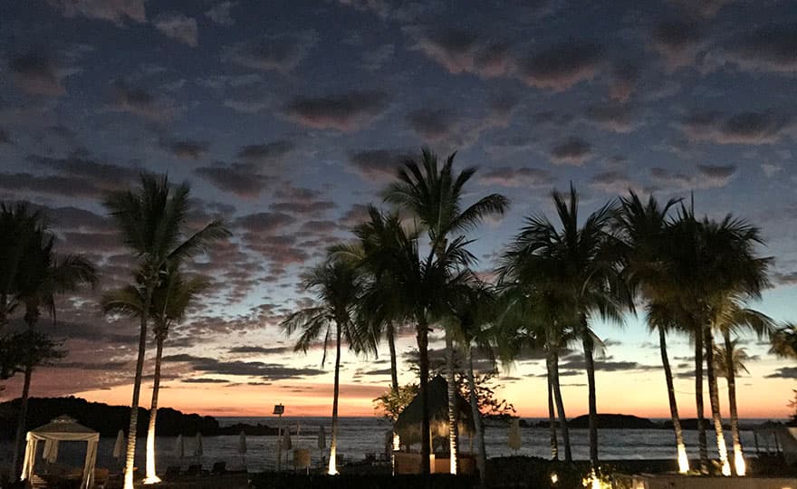 Gallery Image 21