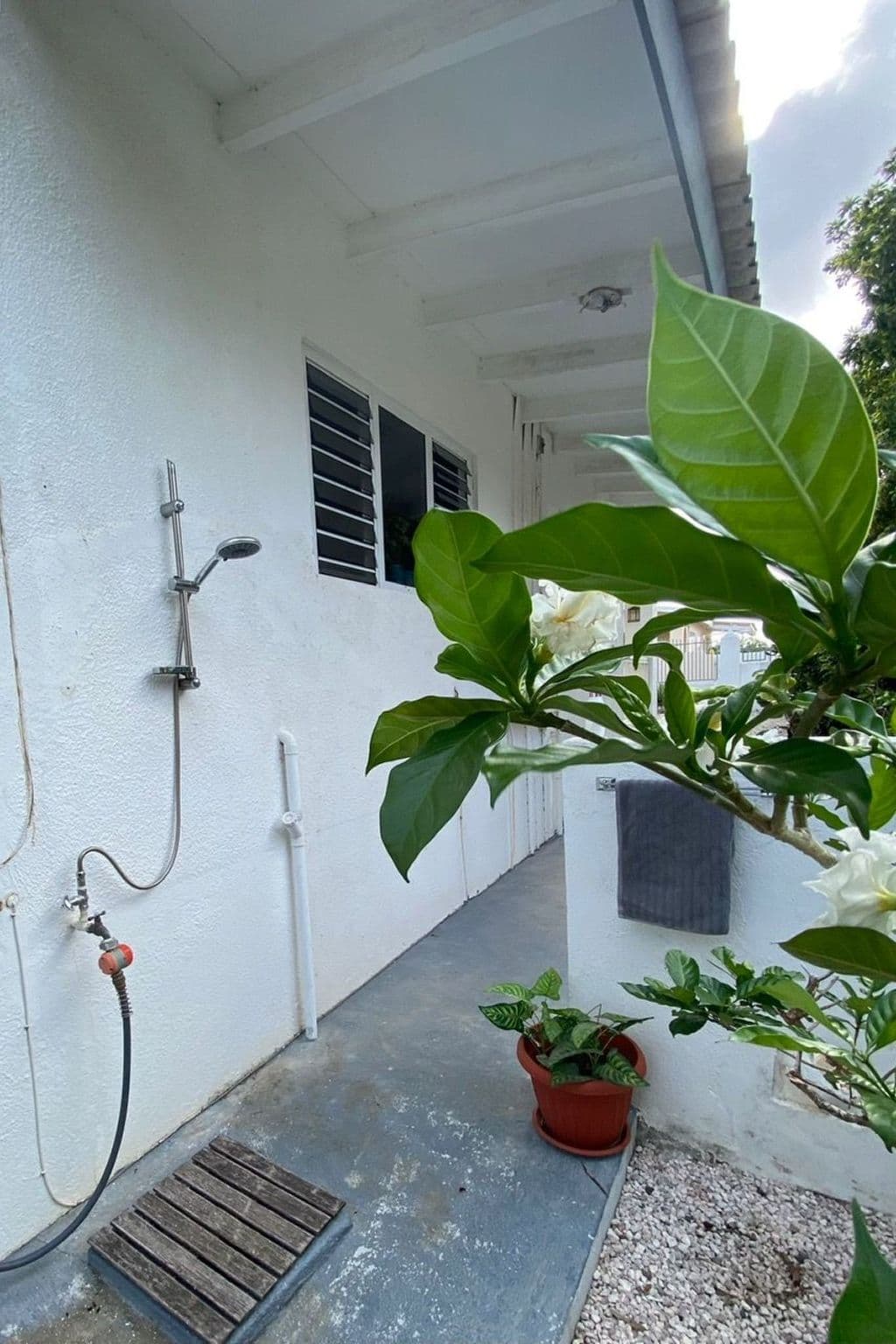 Gallery Image 8
