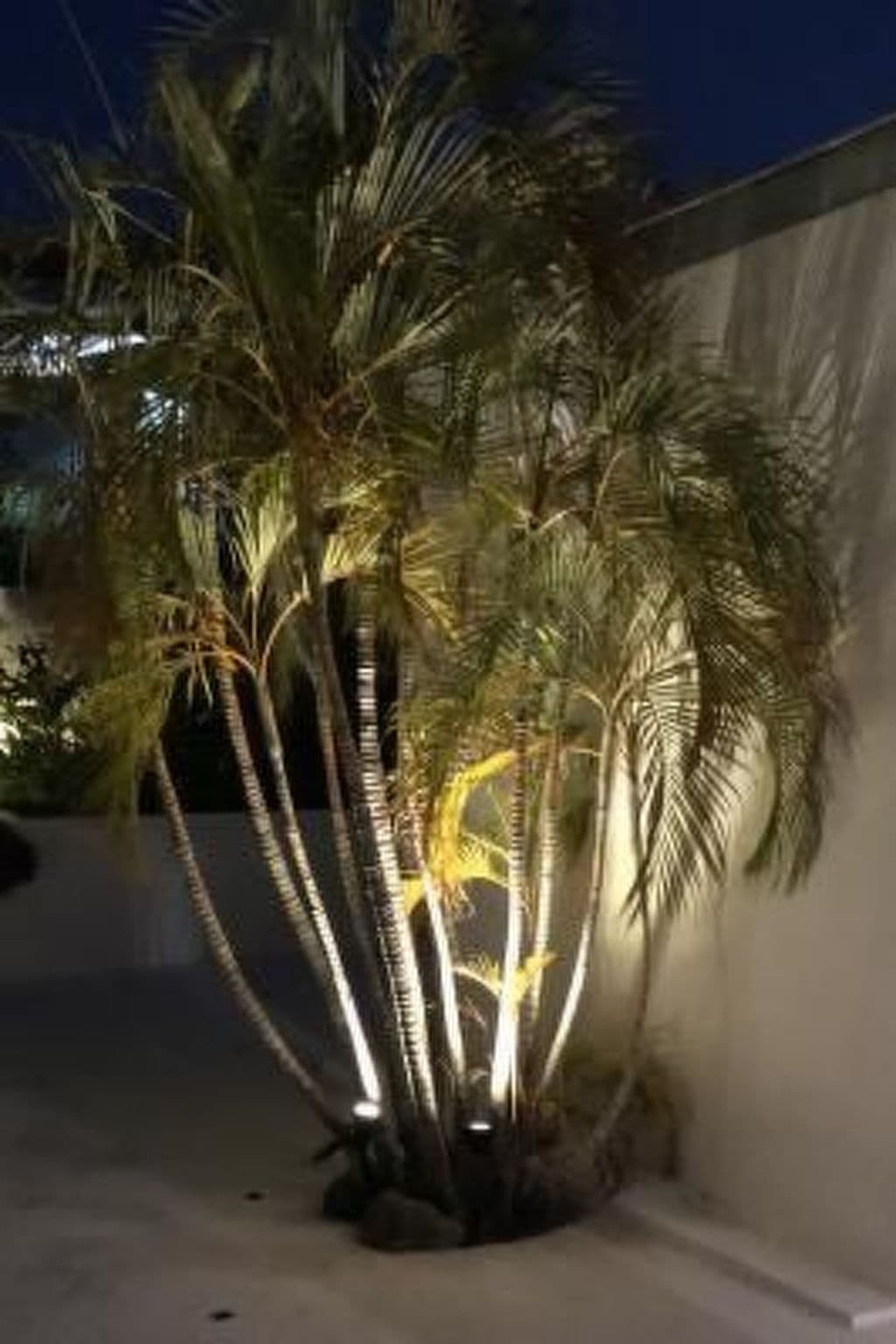 Gallery Image 41